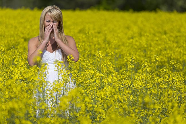 How to manage allergies during allergy season?