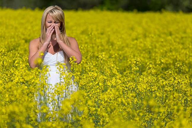 Causes And Symptoms Of Seasonal Allergies